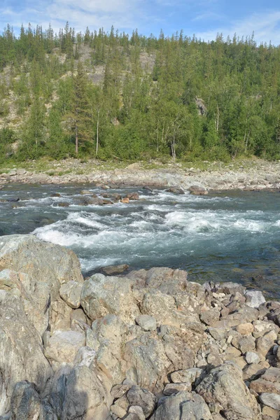 Nehir Eşik Tayga Nehri Üzerinde Yaz Rapids Manzara Polar Urallarda — Stok fotoğraf