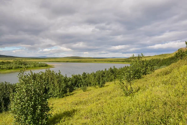 Река Пике Природном Парке Заполярья Летний Пейзаж Тундры Полуострове Ямал — стоковое фото
