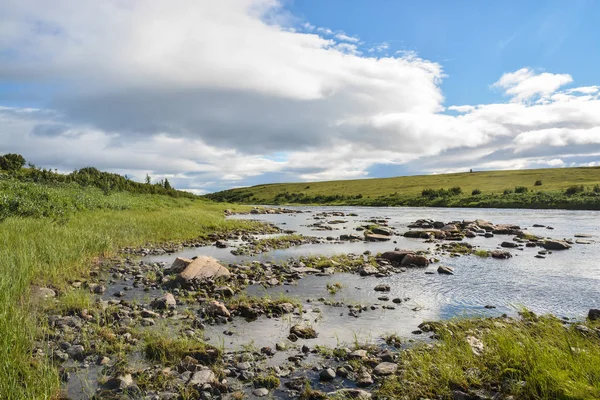 Pike Rivier Natuurlijke Park Van Polar Oeral Zomer Toendra Landschap — Stockfoto