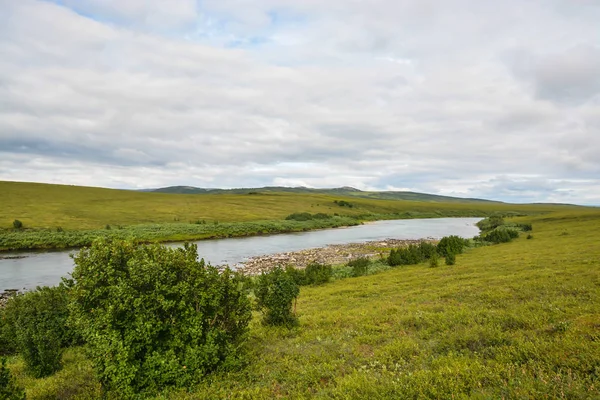 Pike Rivier Natuurlijke Park Van Polar Oeral Zomer Toendra Landschap — Stockfoto