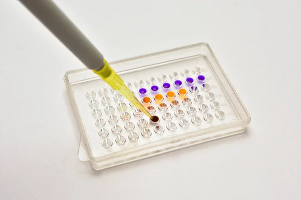 Laboratory Pipette Sample Well Plate — Stock Photo, Image