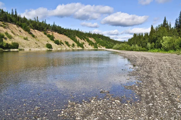 Summer Landscape North River River Kokpela Flows Western Slope Polar — Stock Photo, Image