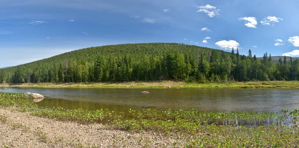 北ウラル山脈国立公園 ユグド での夏 ユネスコ世界遺産 処女コミの原生林のオブジェクト — ストック写真