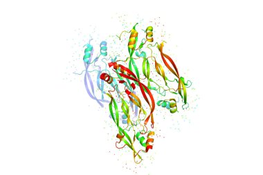 Üç boyutlu kristal yapısını protein molekülü, tümör büyüme işaretçisi. 3D bir biyopolimer bir peptid modeldir.
