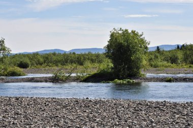 çakıllı kıyılarından Kuzey nehirden. Yaz nehir manzara polar Uralların.