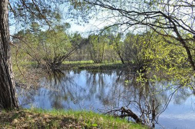 Nehir manzara. Bahar Milli Park alanında 