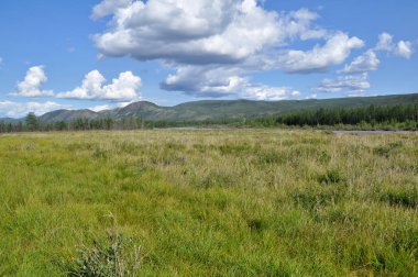 Kuzey manzara. Bataklık düz nadir ağaçlar ve dağlar ufukta mavi gökyüzü altında.