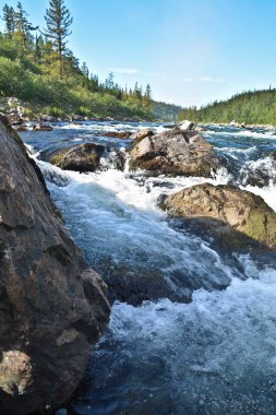 Kuzey Nehri üzerinde boylayacağız. Hızlı su manzara Polar Urallarda.