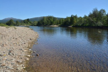 Ural Nehri Shchugor. Virgin Komi ormanlar. Milli Parkı 
