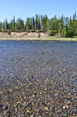 Çakıl nehir. Polar Urallar içinde Cumhuriyeti, Komi, Rusya Nehri.