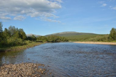Ural Nehri Shchugor. Virgin Komi ormanlar. Milli Parkı 