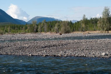 Rusya, Yakutya. dağ nehir manzara temizlemek yaz sabahı.