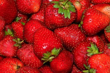 Olgun çilek. Parlak kırmızı çilek çilek yakın çekim ıslak.