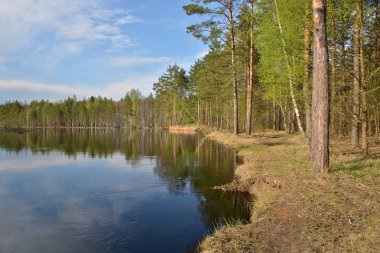 Bahar peyzaj nehre Milli Parkı Meschera Ryazan, Rusya Federasyonu.
