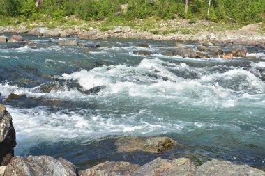 Kuzey Nehri üzerinde boylayacağız. Hızlı su manzara Polar Urallarda.