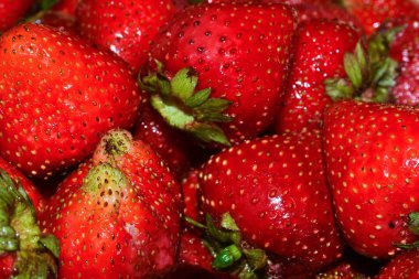 Olgun çilek. Parlak kırmızı çilek çilek yakın çekim ıslak.