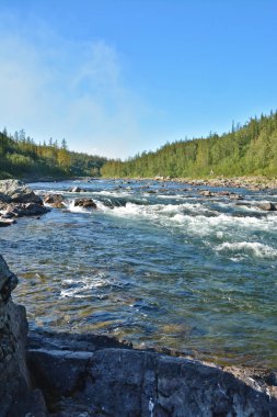 Kuzey Nehri üzerinde boylayacağız. Hızlı su manzara Polar Urallarda.