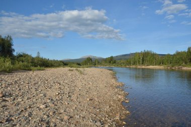 Ural Nehri Shchugor. Virgin Komi ormanlar. Milli Parkı 