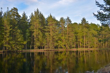 Bahar akşam Nehri üzerinde. Bahar peyzaj nehre Milli Parkı Meschera Ryazan, Rusya Federasyonu.