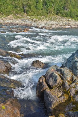 Kuzey Nehri üzerinde boylayacağız. Hızlı su manzara Polar Urallarda.