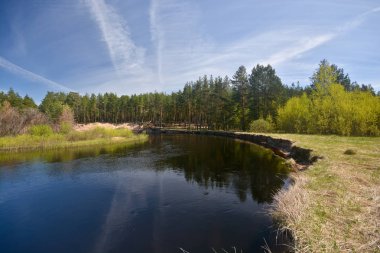 Milli park alanında 