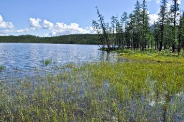 nehir suntar oymyakon, Yakutya, Rusya dağlık çevreleyen su yaz peyzaj.