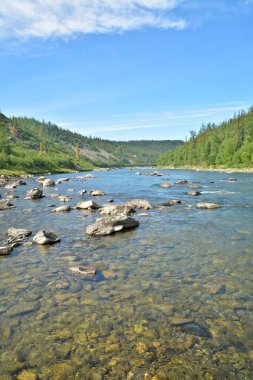 Yaz manzara, Kuzey Nehri. Rusya Polar Urallarda rezervleri.