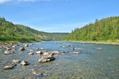 Yaz manzara, Kuzey Nehri. Rusya Polar Urallarda rezervleri.