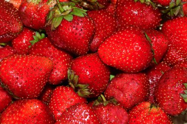 Olgun çilek. Parlak kırmızı çilek çilek yakın çekim ıslak.