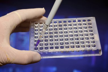 Biyolojik bilimsel laboratuvarda. Örnek iyi bir tabak pipetted.