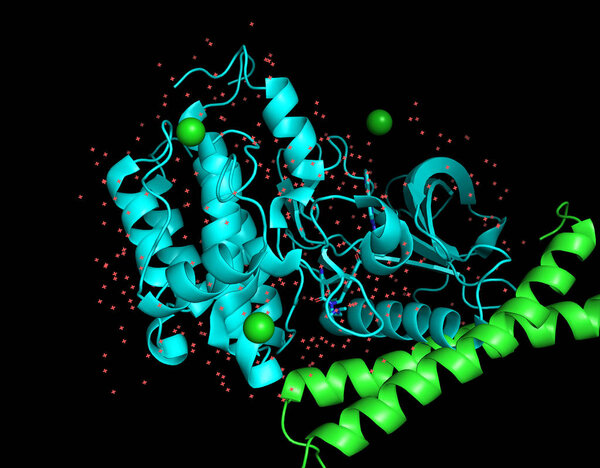 Three-dimensional crystal structure of protein molecule, tumor growth marker. 3D model of a biopolymer is a peptide.