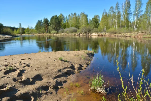 Bahar. Nehre Milli Parkı 