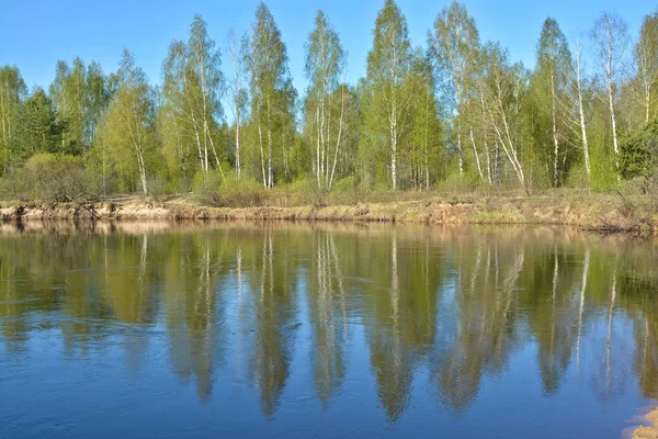 Речной Весенний Пейзаж Национальном Парке Рязань Мешера Весенний Пейзаж Центральной — стоковое фото