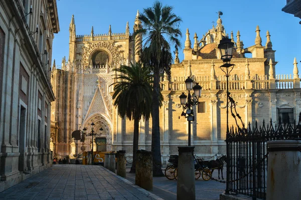 セビリア大聖堂 カテドラル セビージャ カテドラル Sede アンダルシア スペイン ヨーロッパで最大のゴシック様式の大聖堂 — ストック写真
