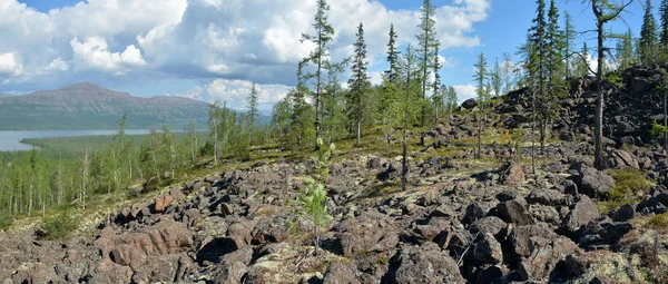 Panorama Sjön Putorana Platån Sommar Vatten Landskap Taimyr — Stockfoto