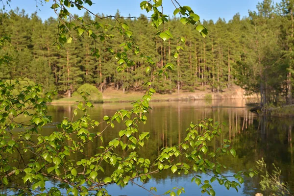 Primavera Rio Paisagem Primavera Rio Parque Nacional Meschera Ryazan Rússia — Fotografia de Stock