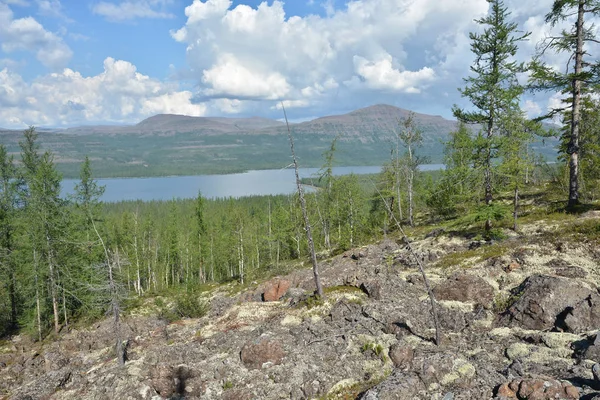 Taïga Montagne Sur Plateau Putorana Paysage Estival Taïga Sibérienne Proximité — Photo