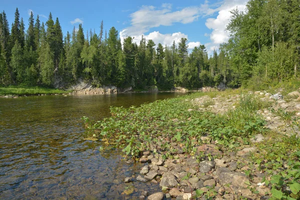 Upper Reaches River Shchugor National Park Yugyd Object Unesco World — Stock Photo, Image