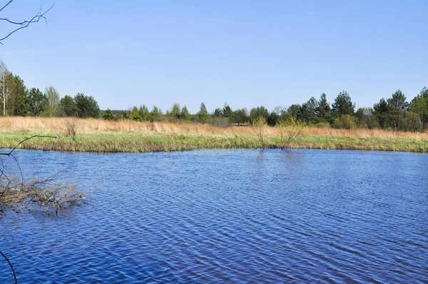 Rivierlandschap Lente Het Nationaal Park Meshera Ryazan Region Rusland — Stockfoto