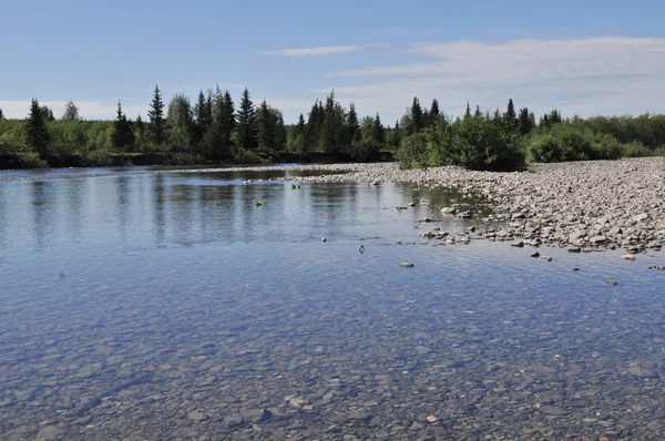 Northern River Pebbly Shores Summer River Landscape Polar Urals — Stock Photo, Image