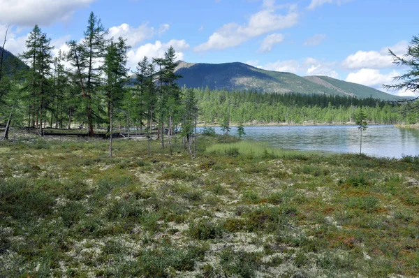 Yakutia Oriental Paisagem Verão Com Lago Montanhas Longo Das Margens — Fotografia de Stock