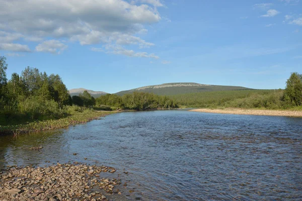 Ural Nehri Shchugor. Virgin Komi ormanlar. Milli Parkı 