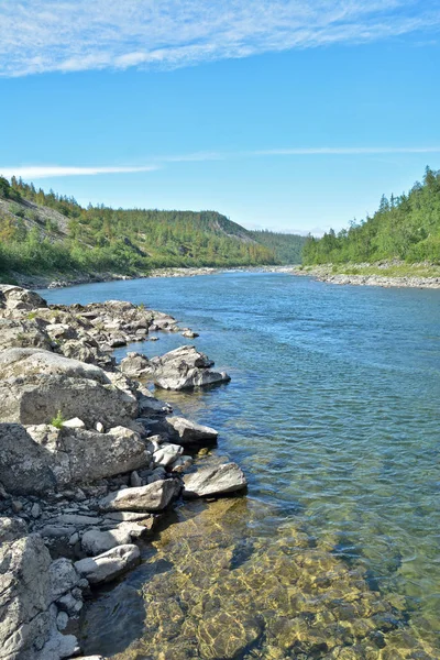 Yaz manzara, Kuzey Nehri. Rusya Polar Urallarda rezervleri.