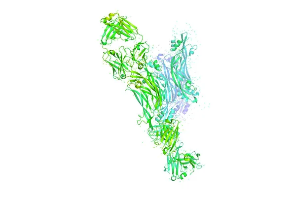 Estrutura Cristalina Tridimensional Molécula Proteína Marcador Crescimento Tumoral Modelo Biopolímero — Fotografia de Stock