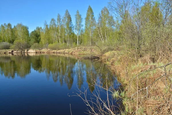 Весна Річка Національний Парк Рязанським Meschera Весняний Пейзаж Росії — стокове фото