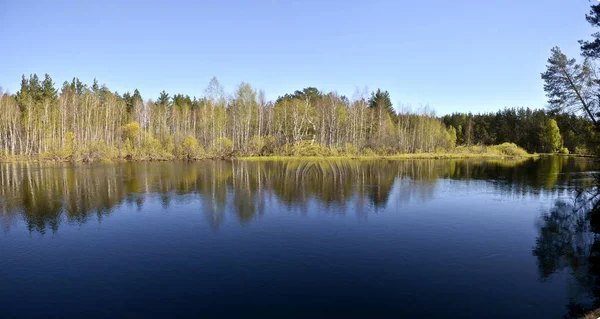 春の河のパノラマ 国立公園ロシアで Meshchersky の風景に水をやる — ストック写真