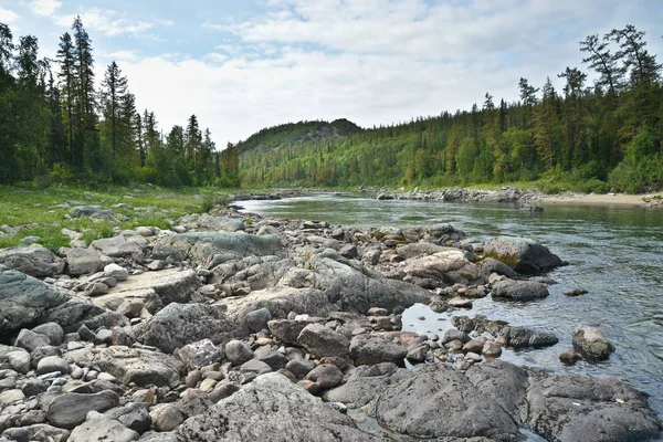 Rivière Kharamatlou Dans Oural Polaire Paysage Aquatique Nord — Photo