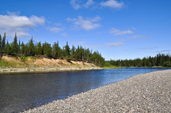 日当たりの良い夏の日に北の川 ポーラー ウラル山脈で 共和国の五目 ロシアの川 — ストック写真