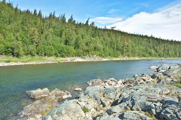 Yaz manzara, Kuzey Nehri. Rusya Polar Urallarda rezervleri.