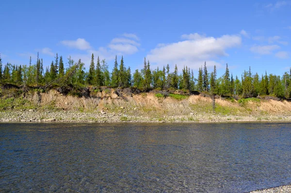 North River Sunny Summer Day River Polar Urals Republic Komi — Stock Photo, Image